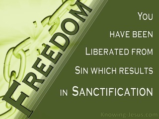 Romans 6:22 Faith and Freedom (devotional)05-08 (sage)